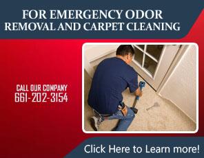 Tips | Carpet Cleaning Newhall, CA